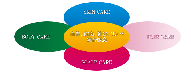 SKIN CARE,BODY CARE,PAIN CARE,SCALP CARE 血管、筋肉、神経、リンパ統合概念